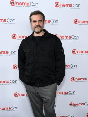 David Harbour Black Jacket