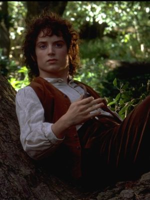 Elijah Wood The Lord of the Rings: The Fellowship of the Ring Wool Vest